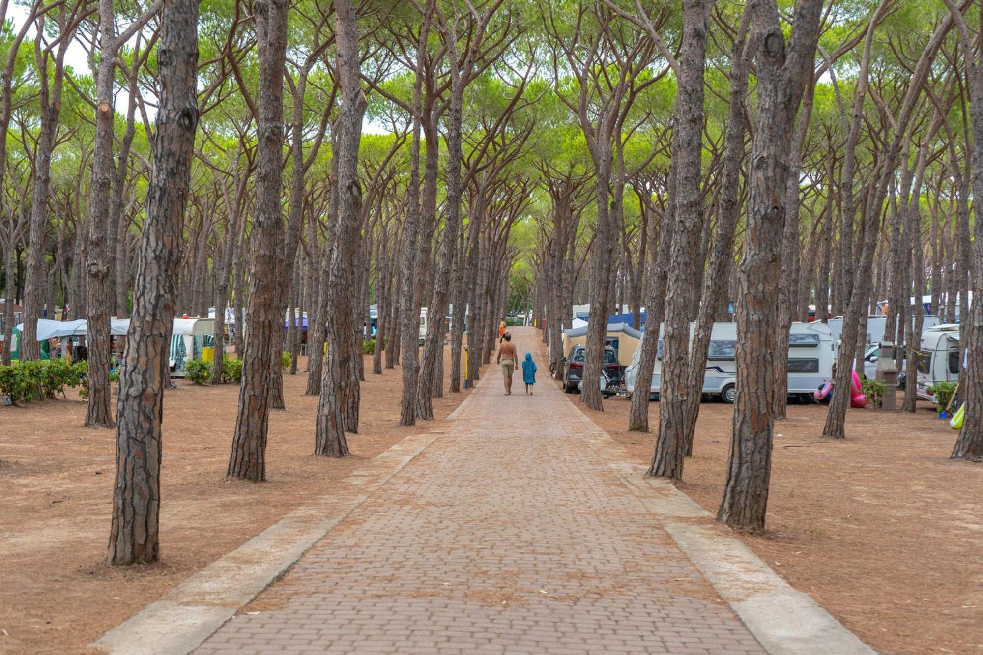 Camping Village Baia Blu La Tortuga أغلينتو المظهر الخارجي الصورة